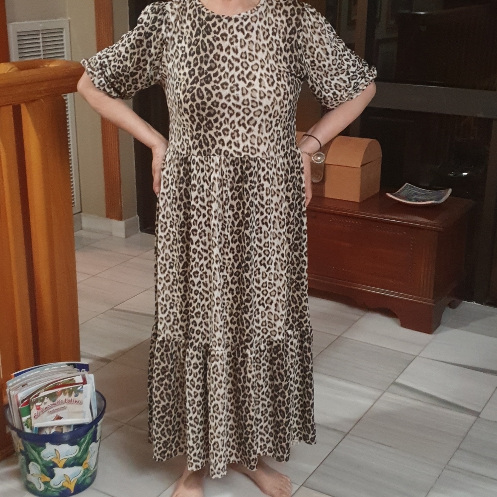 Zara animal print dress